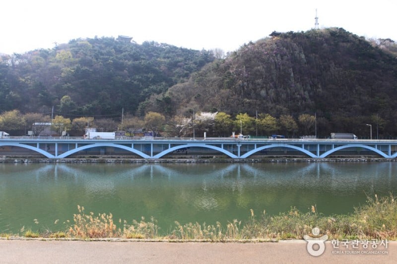 太和江大公園