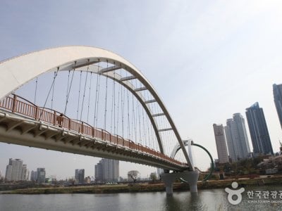 太和江大公園