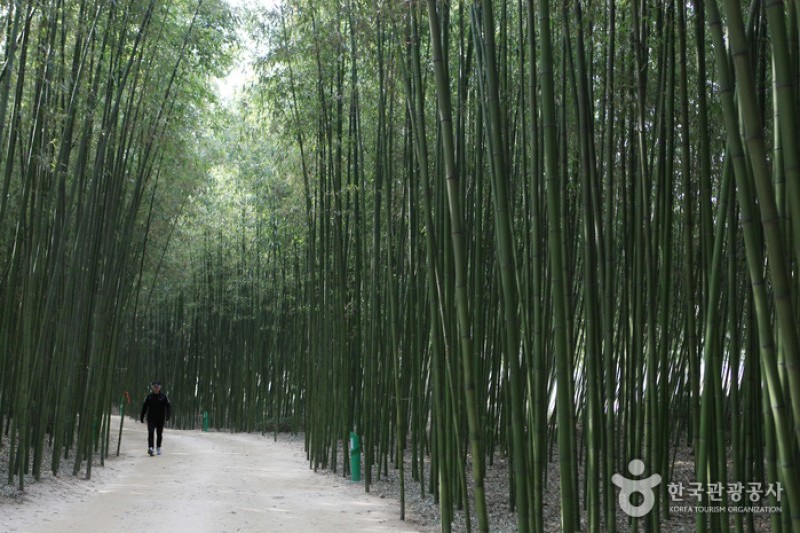 太和江大公園