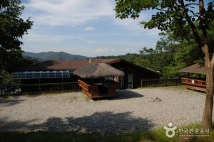 錦江自然休養林