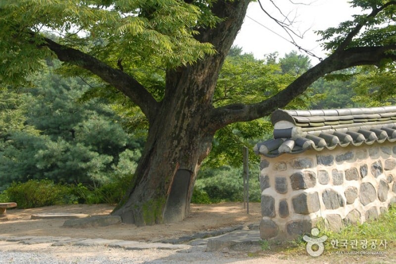碑岩寺