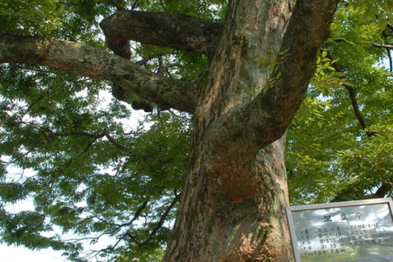 碑岩寺