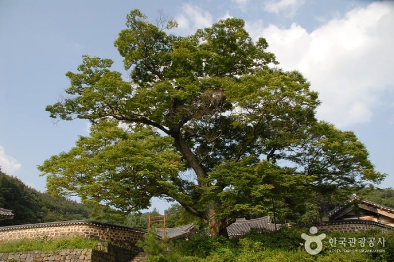 碑岩寺