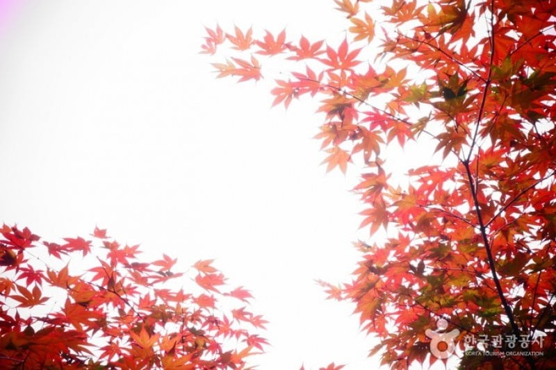 高福蓄水池