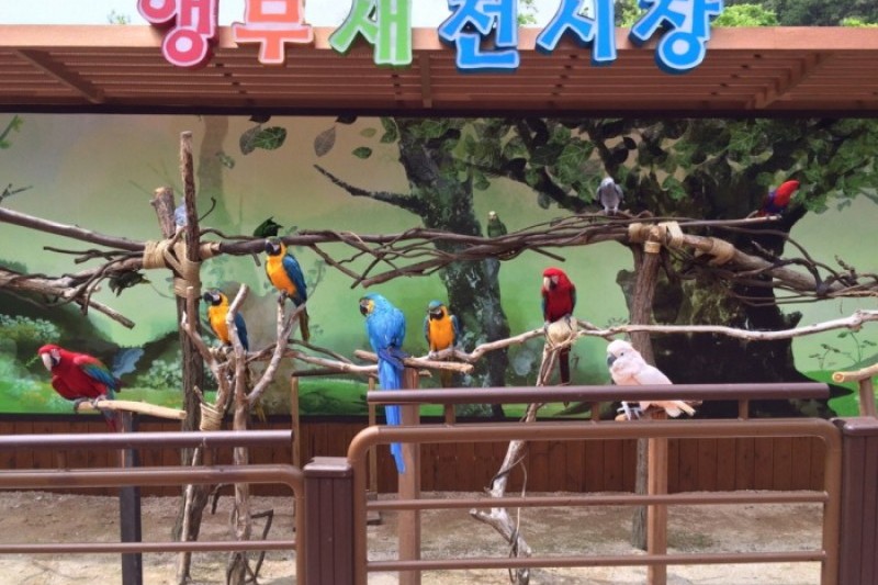 蔚山大公園玫瑰節