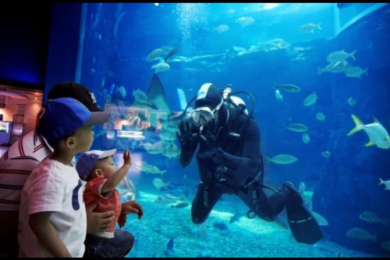 EXPO海洋公園