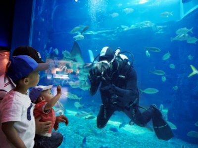 麗水Aqua Planet海洋世界