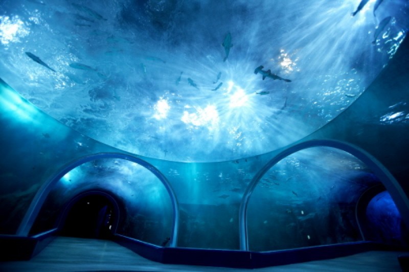 麗水Aqua Planet海洋世界