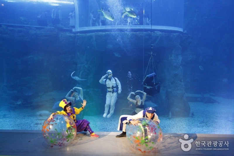 麗水Aqua Planet海洋世界