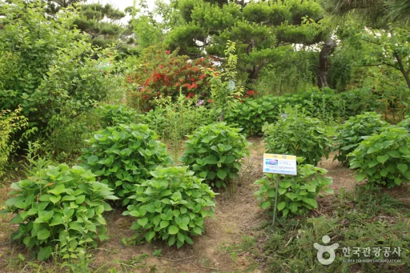 蔚山主題植物樹木園