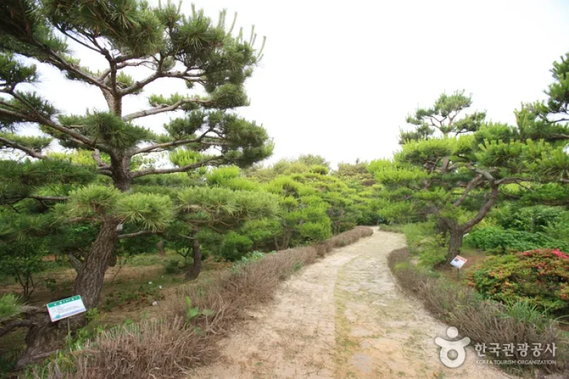 蔚山主題植物樹木園