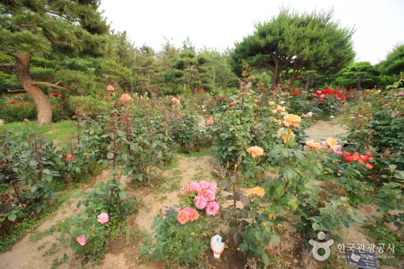 蔚山主題植物樹木園