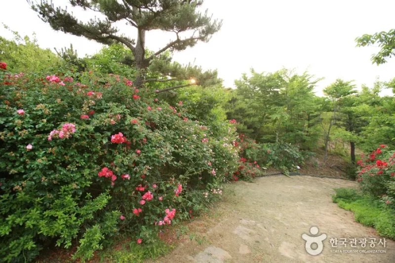 蔚山主題植物樹木園