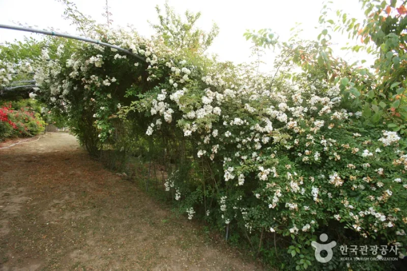蔚山主題植物樹木園
