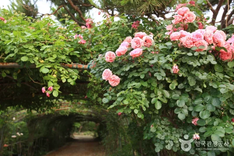 蔚山主題植物樹木園
