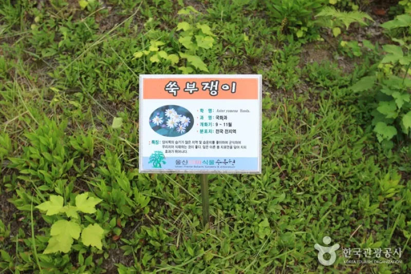 蔚山主題植物樹木園