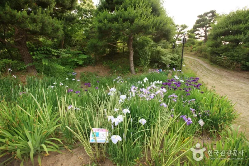 蔚山主題植物樹木園