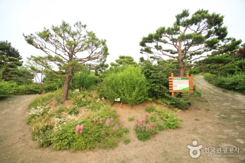蔚山主題植物樹木園