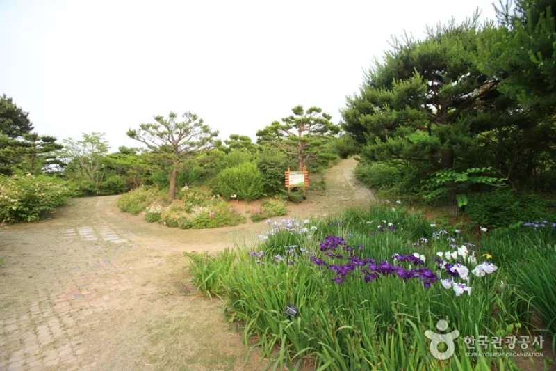 蔚山主題植物樹木園