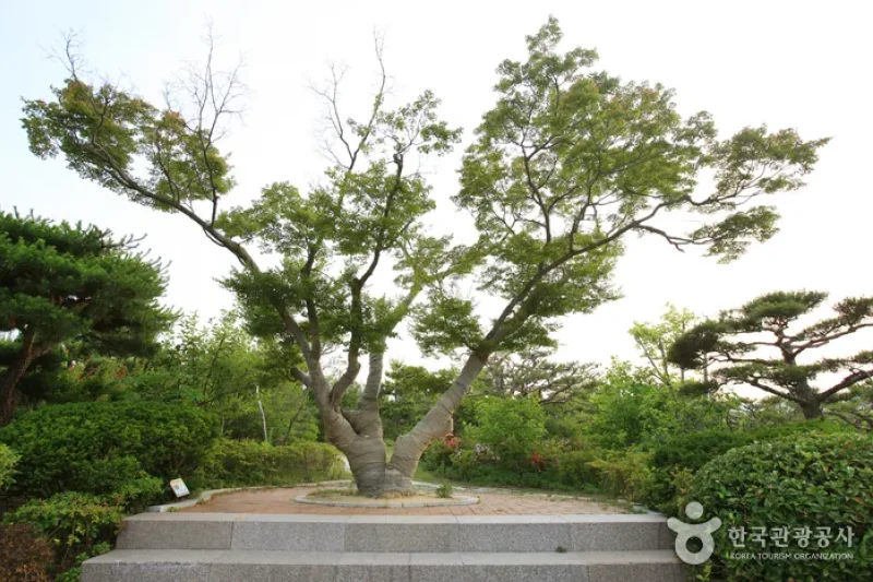 蔚山主題植物樹木園