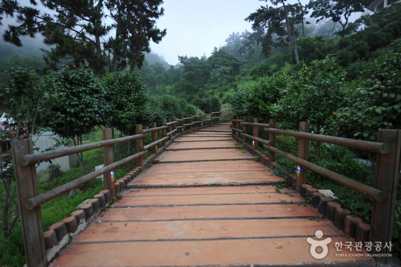 白岫海岸道路(백수해안도로)