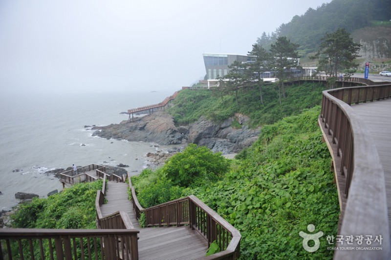 白岫海岸道路(백수해안도로)