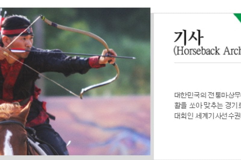 清州世界武大師大會 (2/16)