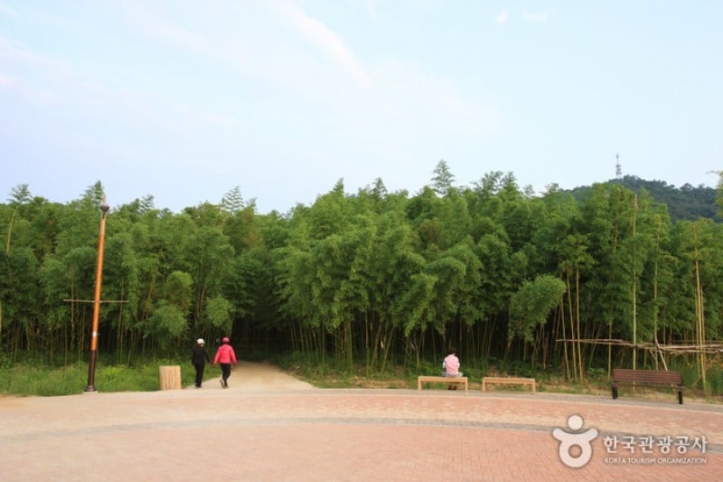 太和江大公園