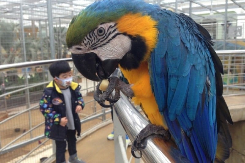 慶州鳥園 (2/29)