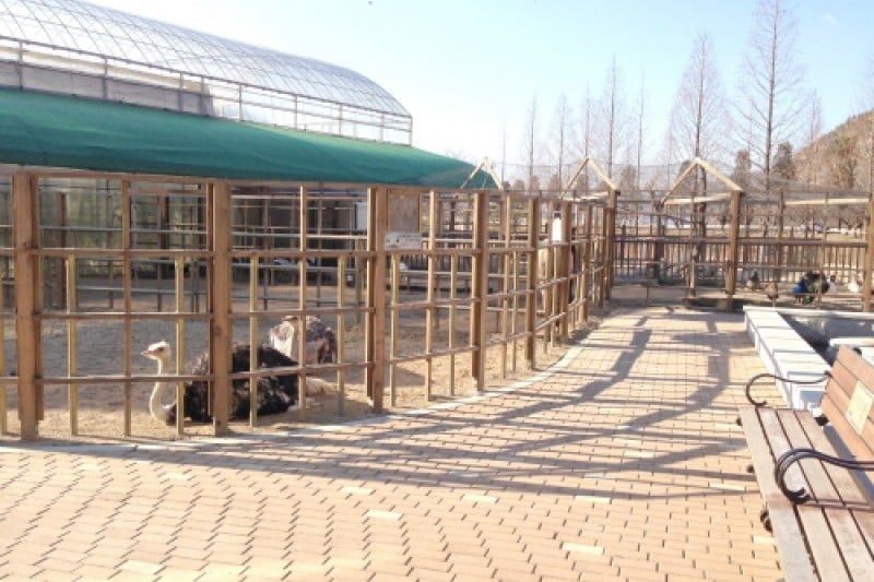 慶州鳥園 (3/29)