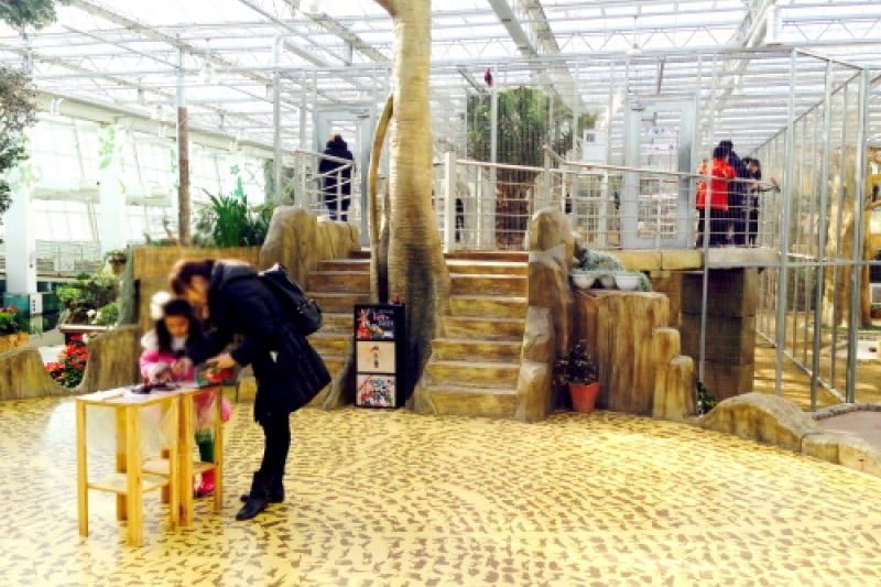 慶州鳥園 (7/29)