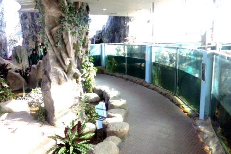 慶州鳥園 (14/29)