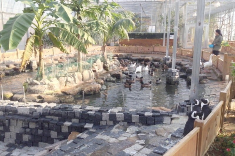 慶州鳥園 (18/29)