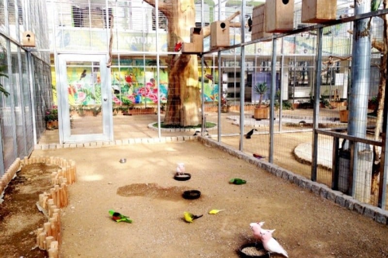 慶州鳥園 (25/29)