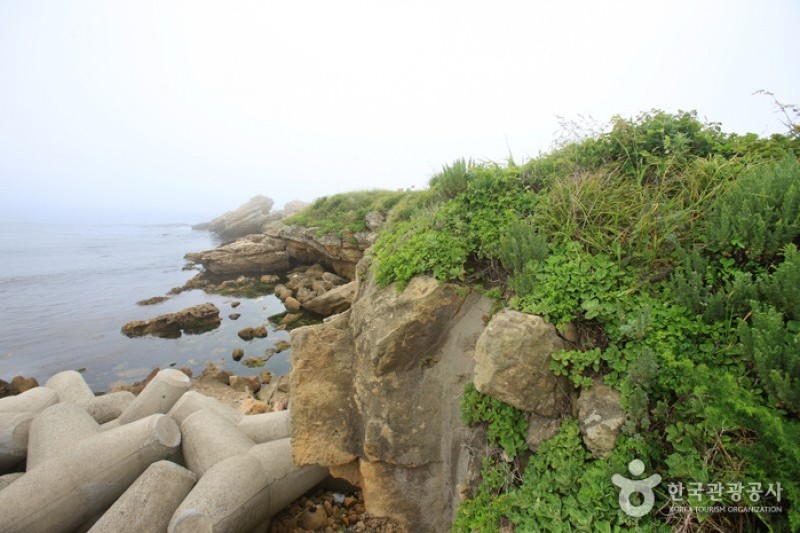 瑟島