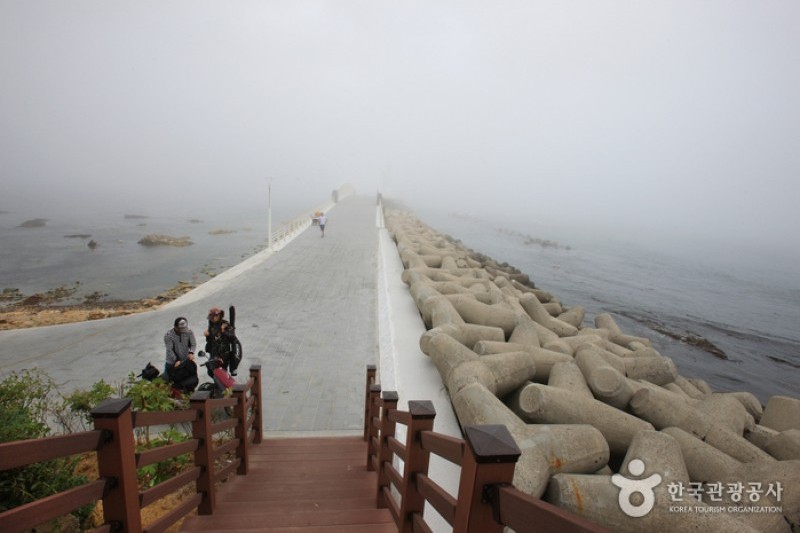 瑟島