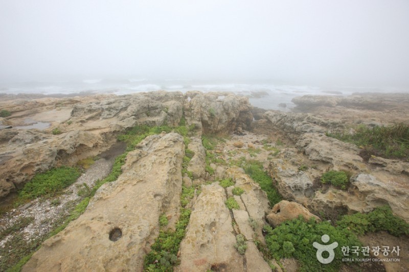 瑟島