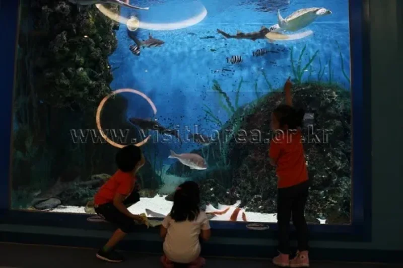 長生浦鯨魚生態體驗館 (4/9)