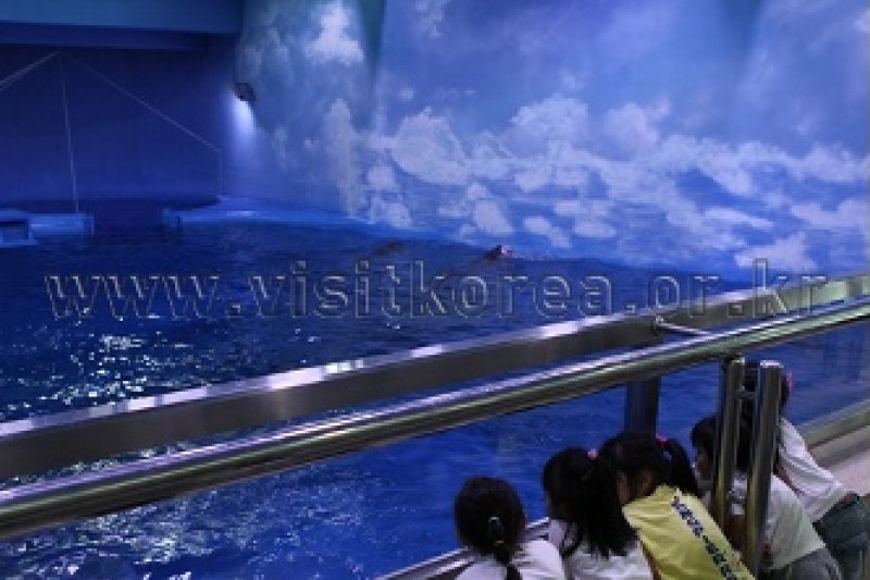 長生浦鯨魚生態體驗館 (8/9)