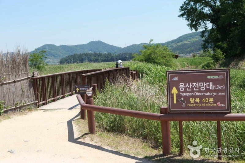 順天灣龍山觀景臺 (8/9)