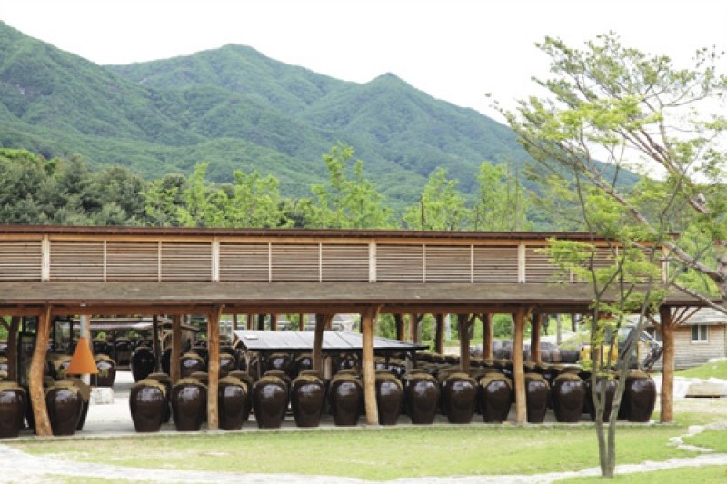家釀酒文化館山楂園 (13/20)