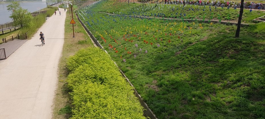 京仁Ara運河경인 아라뱃길