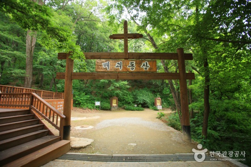 甘谷玫瑰聖母巡禮地聖堂