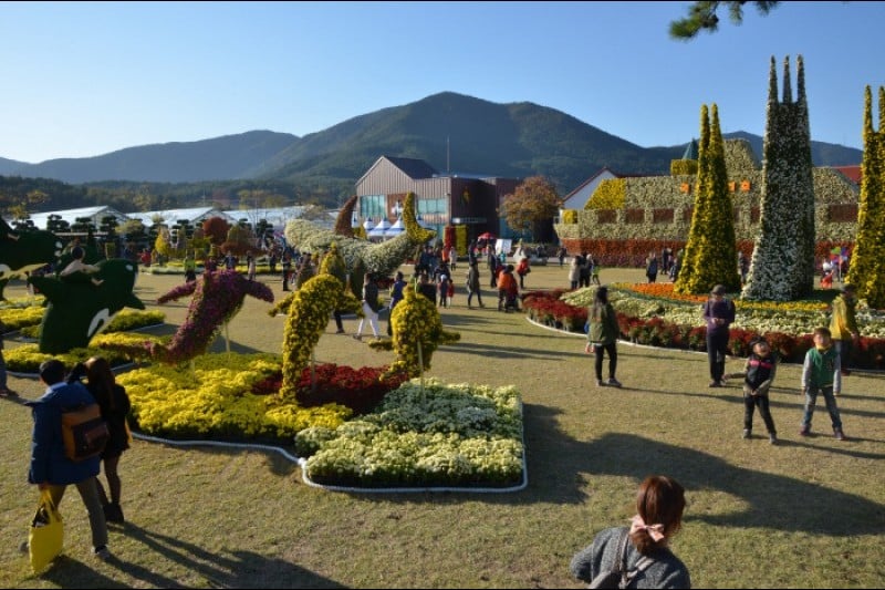 巨濟島花卉節 (4/9)