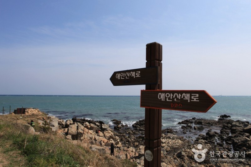 瑟島