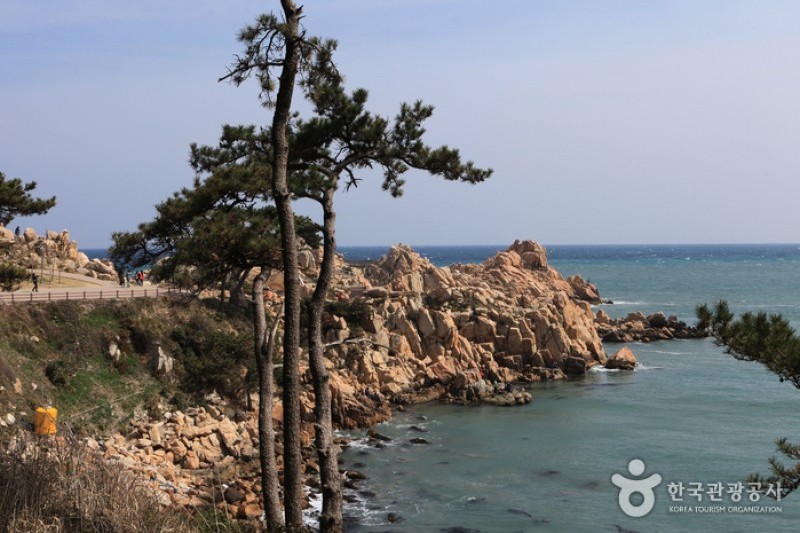 瑟島