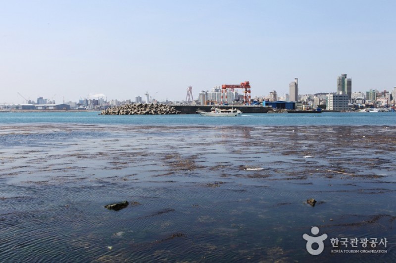 瑟島