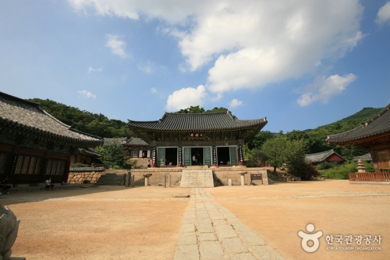 桐華寺