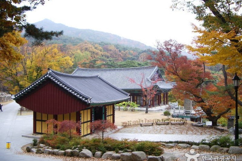 桐華寺