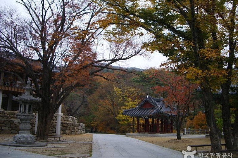 桐華寺
